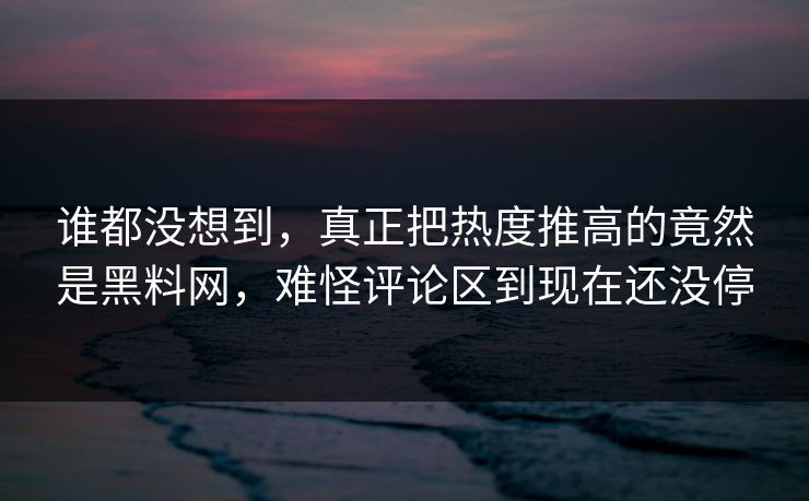 谁都没想到，真正把热度推高的竟然是黑料网，难怪评论区到现在还没停  第1张