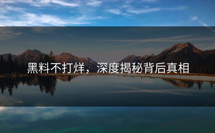 黑料不打烊，深度揭秘背后真相  第1张