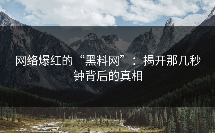 网络爆红的“黑料网”：揭开那几秒钟背后的真相