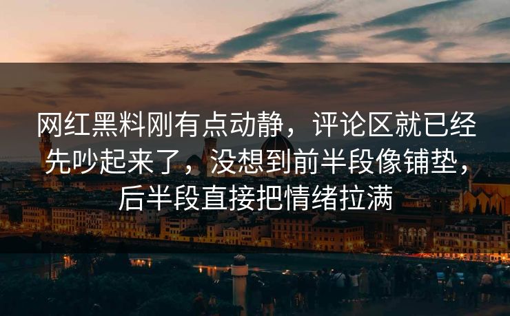 网红黑料刚有点动静，评论区就已经先吵起来了，没想到前半段像铺垫，后半段直接把情绪拉满