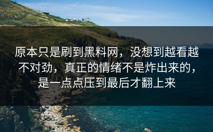 原本只是刷到黑料网，没想到越看越不对劲，真正的情绪不是炸出来的，是一点点压到最后才翻上来  第1张
