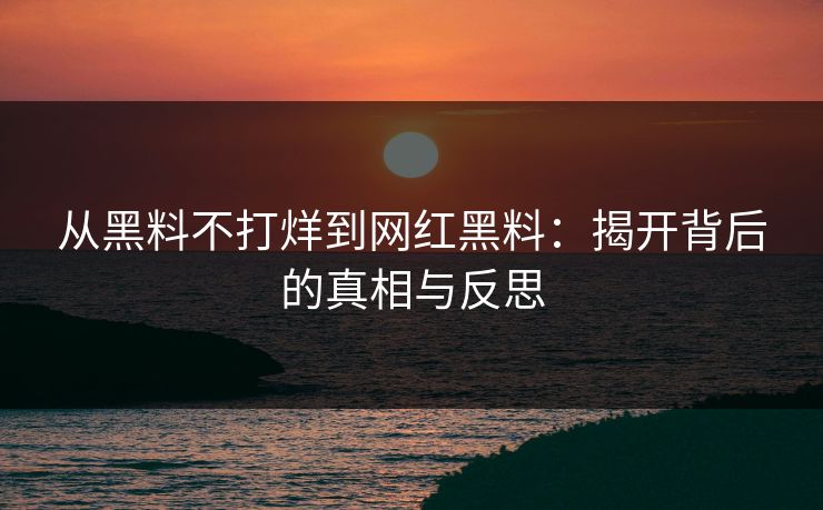 从黑料不打烊到网红黑料：揭开背后的真相与反思  第1张