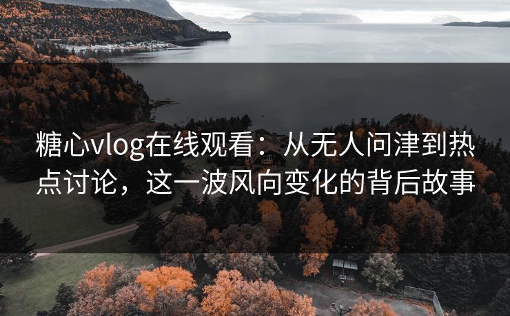 糖心vlog在线观看：从无人问津到热点讨论，这一波风向变化的背后故事